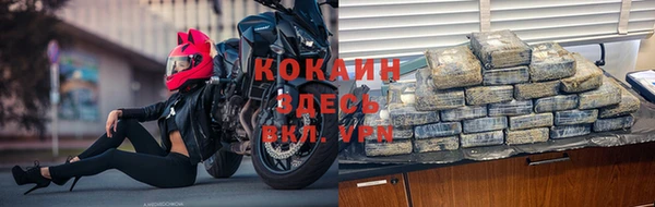 шишки Волоколамск