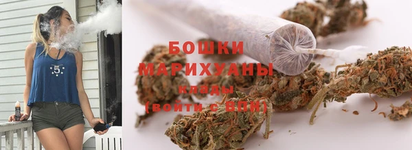 прущие грибы Володарск