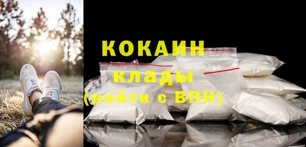 прущие грибы Володарск