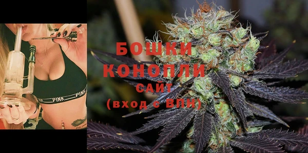 шишки Волоколамск