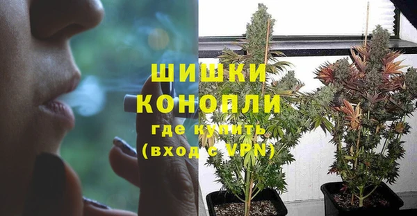прущие грибы Володарск